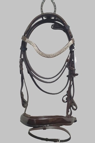 Leather horse show - leather, bridle