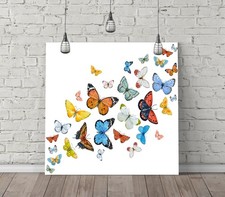 COLOURFUL BUTTERFLIES -SQUARE