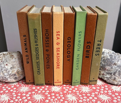 Vintage observer s books - observer’s,