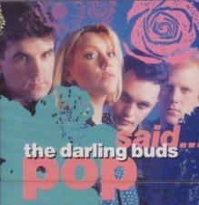The Darling Buds : Pop Said CD