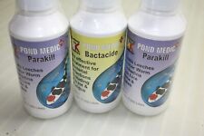 CLEARANCE YAMITSU KOCKNEY KOI