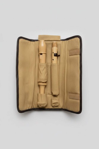 Moeck rondo recorder with - with, case