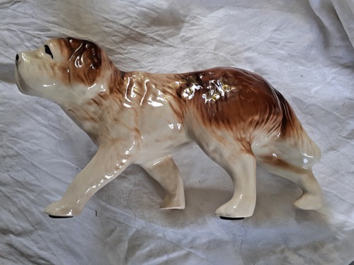 Large bernard style dog - style,