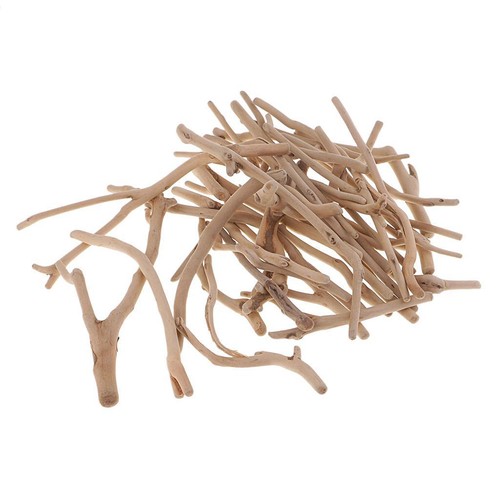 Natural driftwood pieces - driftwood,