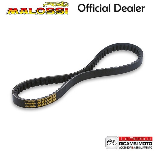 6119482 belt on - on, malossi