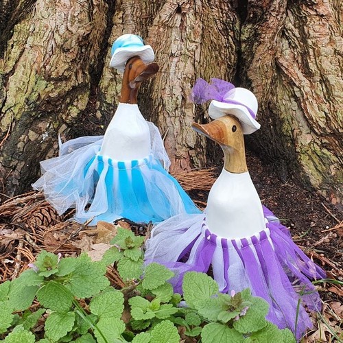Bamboo duck dress and - duck,