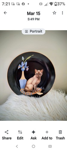 Siamese cat collector plate - siamese,