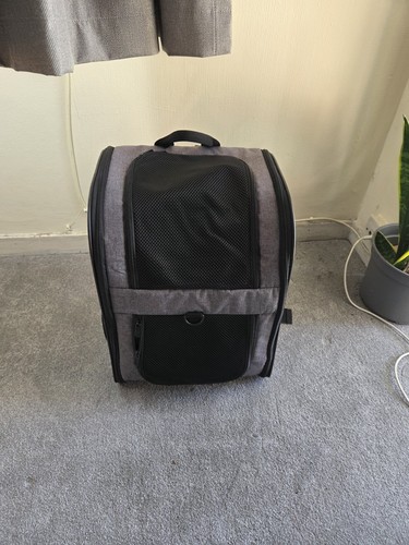 Pet backpack carrier - carrier, cat