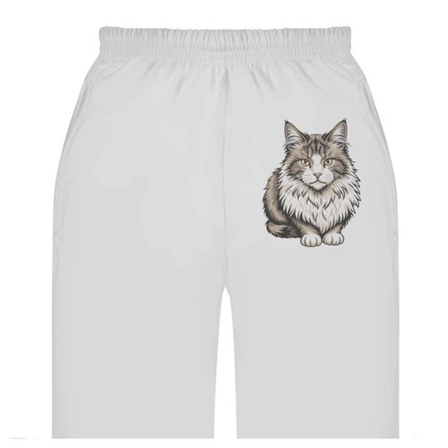 Norwegian forest cat adult - 'norwegian,