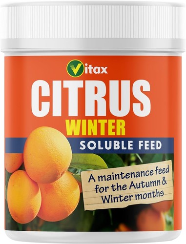 Vitax citrus tree - food, winter