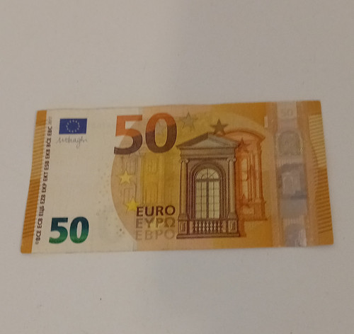 Euro leftover holiday - euro,