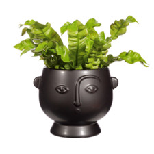 Large Planter Plant Pot Indoor