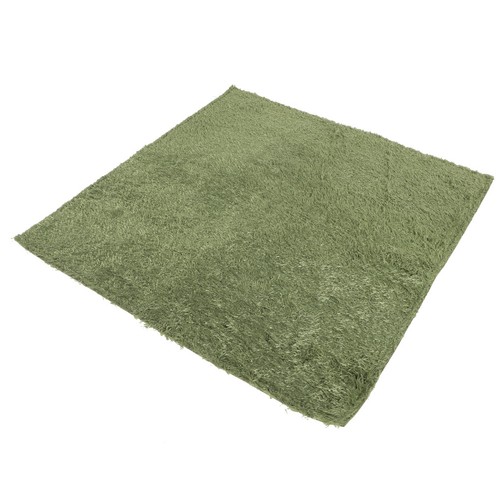 Lizard carpet mat fake - carpet, grass