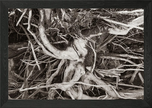 Driftwood tree framed wall art - driftwood,