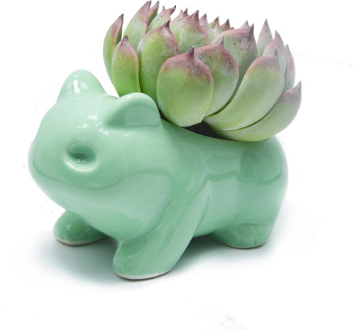 Cartoon flowerpot cute ceramic - cartoon,