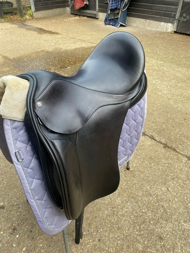 Lovatt ricketts dressage - ricketts,