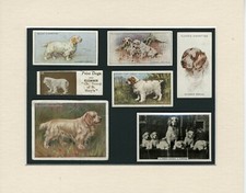 CLUMBER SPANIEL ORIGINAL OLD DOG COLLECTABLE CARDS READY MOUNTED GREAT GIFT