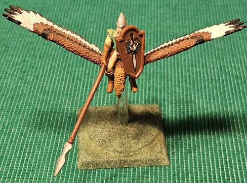 Warhammer wood elf eagle rider - wood,