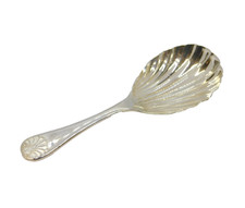 Sterling Silver Seashell Form