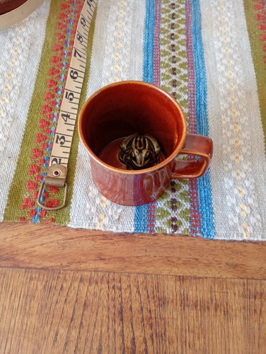 Vintage scarborough pottery - vintage,