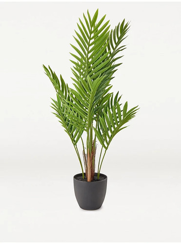 Real touch artificial areca - artificial,
