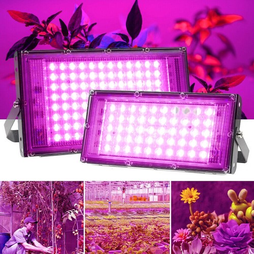 Led grow lights for - led,
