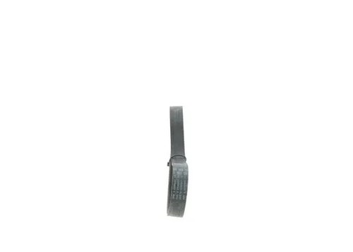 Ribbed belt fits - belt, passat
