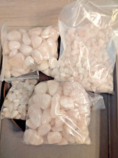 CLOSING SALE! Lots of Rose