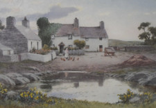 Warren Williams - Original