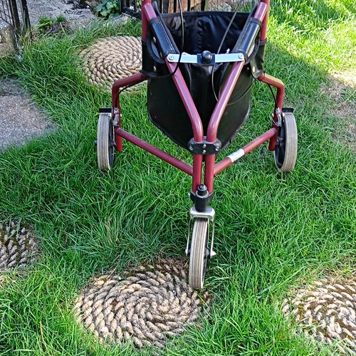 Lightweight wheel tri walker - 3,