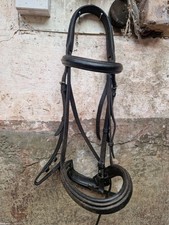 Horse Bridle