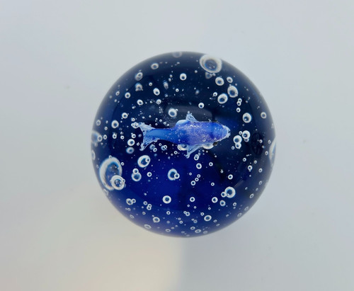 Paperweight fish a - paperweight, in