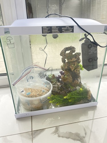 Aquarium fish tank with - fish, full