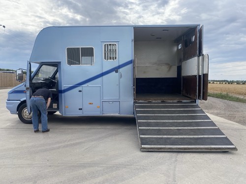 Iveco horse lorry - horse, 1999
