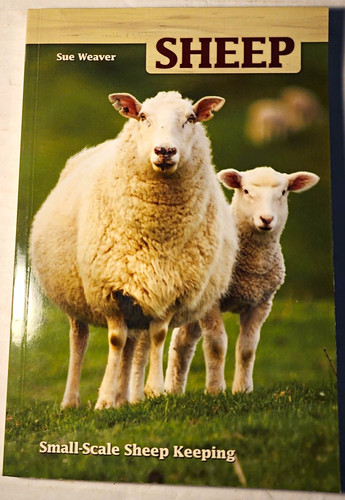 Sue weaver sheep small - weaver, small-scale