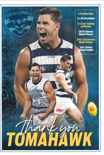 Geelong cats champion afl