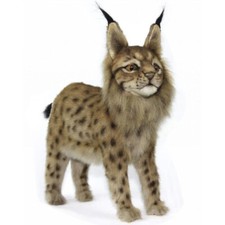 Hansa Standing  Eurasian Lynx