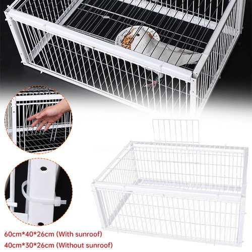 Pigeon trap cage - pigeon,