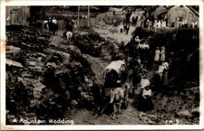 Vtg A Mountain Wedding Horse