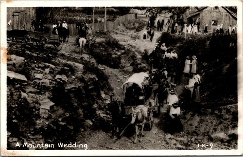 Vtg mountain wedding horse - mountain,