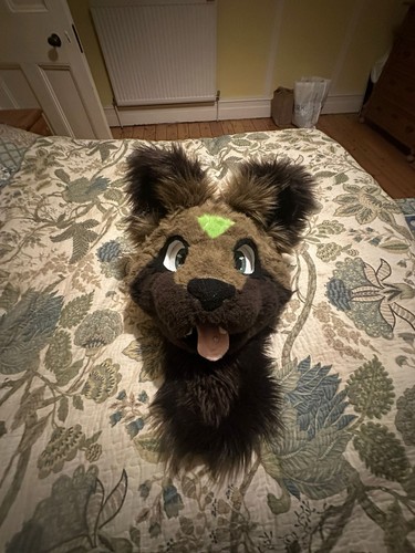 Full partial fursuit head - partial,