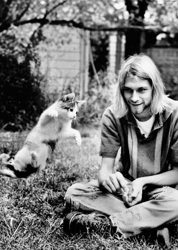 Nirvana kurt cobain kitty - nirvana,