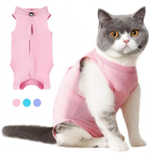 After surgery kitten recovery - surgery,