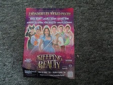 12 x  NEW 2025 / 2026 Panto flyers - ALL DIFFERENT - Last Lot