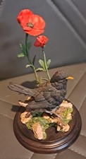 Country Artists Bird number 698  BLACKBIRD with POPPIES  MALVERN COLLECTION