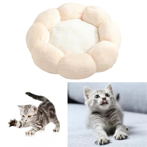 Cat cushion bed pet - cat,