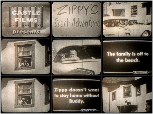 Zippy beach adventure - "zippy's,