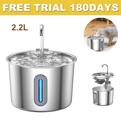 Cat water fountain for - fountain,