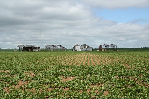 Photo 6x4 heath farm blankney - farm,