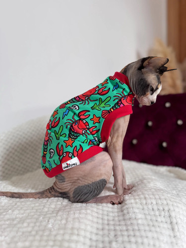 Cotton sphynx cat shirt - sphynx,